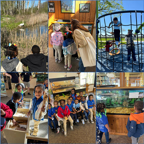 Pre-K Playing and Learning